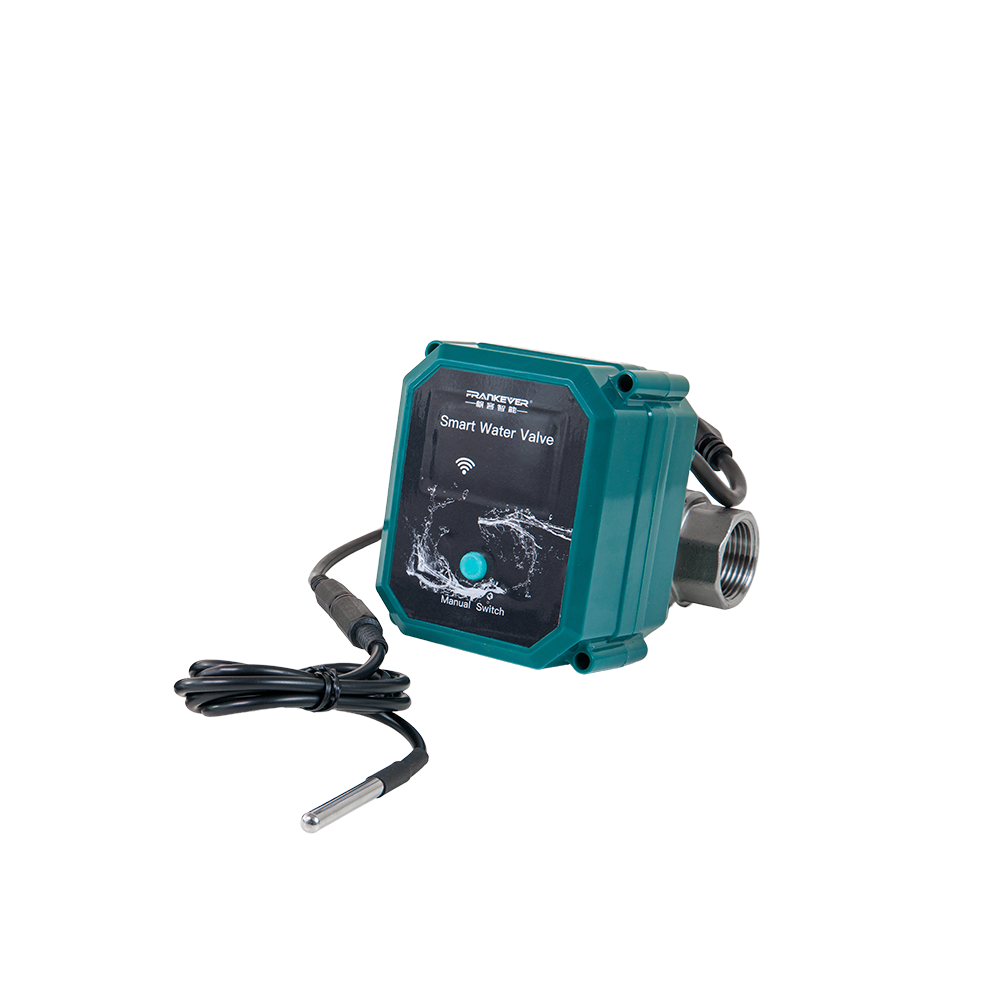 FrankEver Smart water valve DN15
