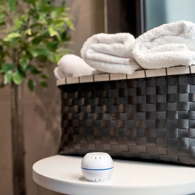 Shelly H&T White (04)