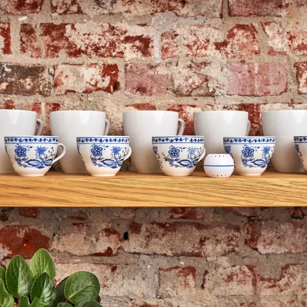 Shelly H&T White (05)