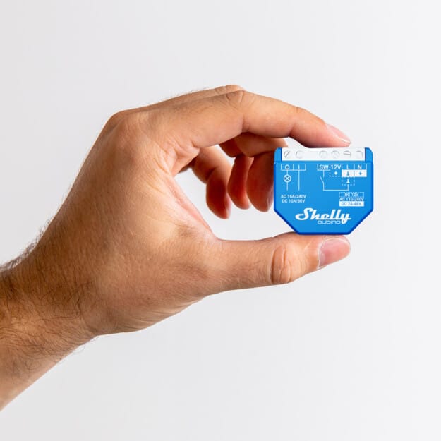 Shelly Qubino Wave 1 (02)