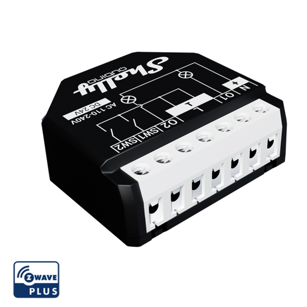 Shelly Qubino Wave 2PM (01)